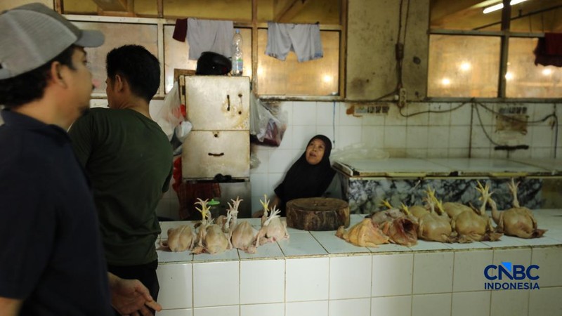 Harga ayam di penjual turun drastis ke angka Rp 13.000/kg di pasar Kebayoran Lama, Jakarta, Senin (29/6/2026).