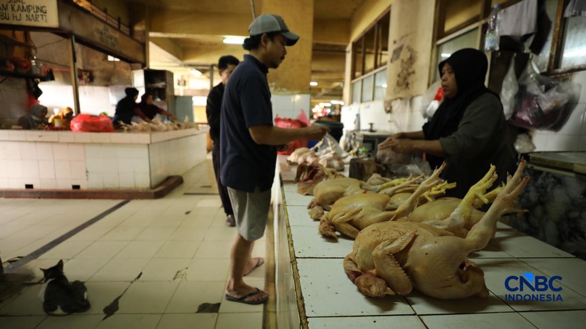 Harga Ayam, Telur, hingga Beras Ancam Daerah