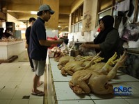 Harga ayam di penjual turun drastis ke angka Rp 13.000/kg di pasar Kebayoran Lama, Jakarta, Senin (29/6/2026). (CNBC Indonesia/Tri Susilo)