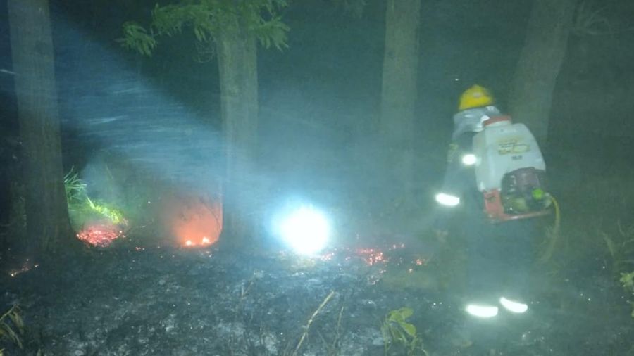 Kebakaran hutan dan lahan yang terjadi di Desa Padang, Kecamatan Manggar, Kabupaten Belitung Timur,  Provinsi Kepulauan Bangka Belitung (26/6). (BPBD Kabupaten Belitung Timur.)