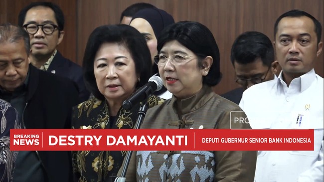 Video: Rapat Bareng DPR, DGS Destry Beberkan Langkah BI Amankan Rupiah