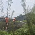 RI Siaga! Petaka El Nino Dimulai: Kebakaran Menyerang-Air Bersih Sulit