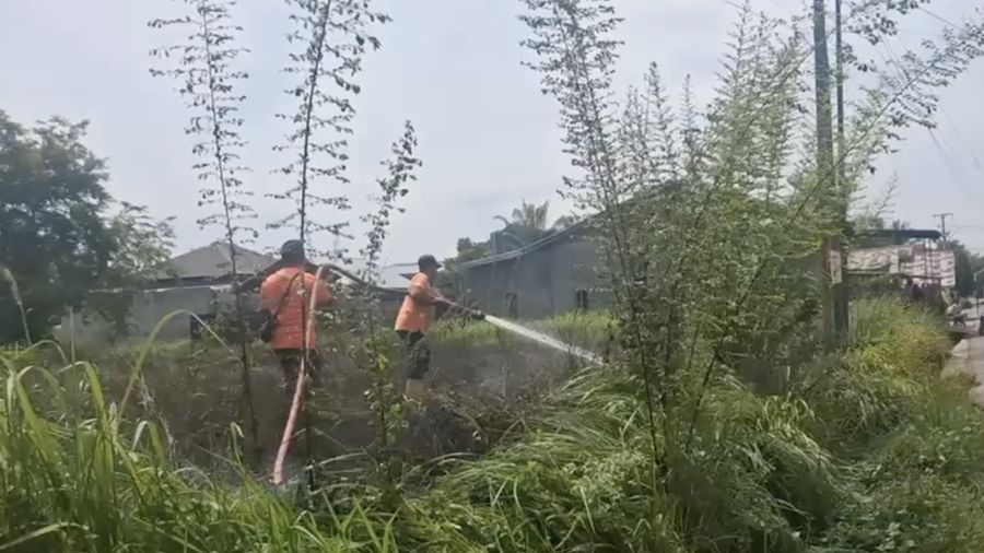 Upaya penanganan darurat oleh BPBD Kota Langsa atas kebakaran hutan dan lahan yang terjadi di Kota Langsa, Provinsi Aceh, pada Minggu (28/6). (Dok. BPBD Kota Langsa)