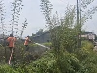 RI Siaga! Petaka El Nino Dimulai: Kebakaran Menyerang-Air Bersih Sulit