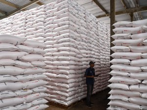 Kuota Pupuk Subsidi Ditambah Dua Kali Lipat Jadi 9,5 Juta Ton