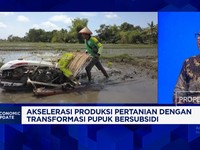Jakarta, CNBC Indonesia-Pemerintah menerbitkan Perpres 113 Tahun 2025 tentang skema penyaluran pupuk subsidi menjadi marked to market guna meningkatkan efisiensi industri pupuk nasional.

Deputi Bidang Koordinasi Usaha Pangan dan Pertanian Kemenko