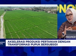 Salurkan Pupuk Subsidi ke 14 Juta Petani Yang Berhak, Pupuk Indonesia Jamin Tepat Sasaran