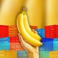 Infografis/Produksi Pisang Cetak Rekor, Laris Manis Dijual ke Malaysia-Singapura/Ilham Restu/CNBC Indonesia