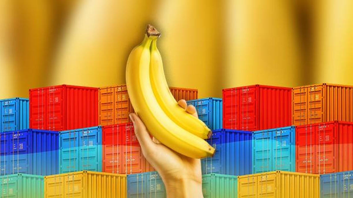 Produksi Pisang Cetak Rekor, Laris Manis Dijual ke Malaysia-Singapura