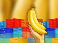 Infografis/Produksi Pisang Cetak Rekor, Laris Manis Dijual ke Malaysia-Singapura/Ilham Restu/CNBC Indonesia