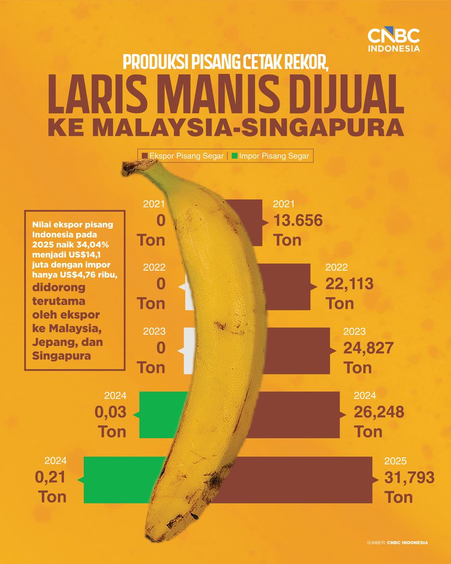 Infografis/Produksi Pisang Cetak Rekor, Laris Manis Dijual ke Malaysia-Singapura/Ilham Restu/CNBC Indonesia