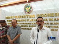 Kepala Barantin Abdul Kadir Karding bersama Perkumpulan Pengusaha Sarang Burung Indonesia saat konferensi pers di kantornya, Jakarta, Rabu (1/7/2026). (CNBC Indonesia/Martyasari Rizky)