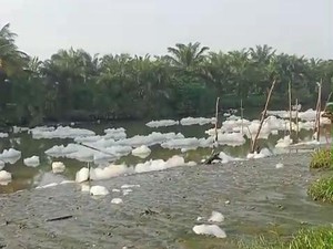 Busa Cemari Sungai-Sawah Warga di Deli Serdang, Diduga Limbah Pabrik