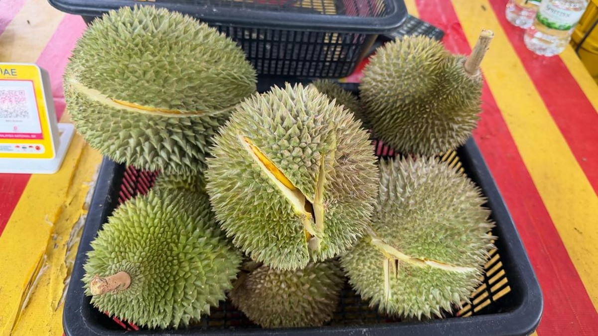 Heboh Skandal Korupsi Durian, Wakil Menteri Ditangkap