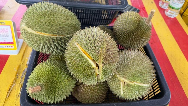 Heboh Skandal Ekspor Durian, Wakil Menteri Ditangkap