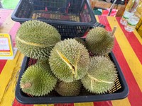 Penjualan durian di Malaysia. (Threads/elitafn)