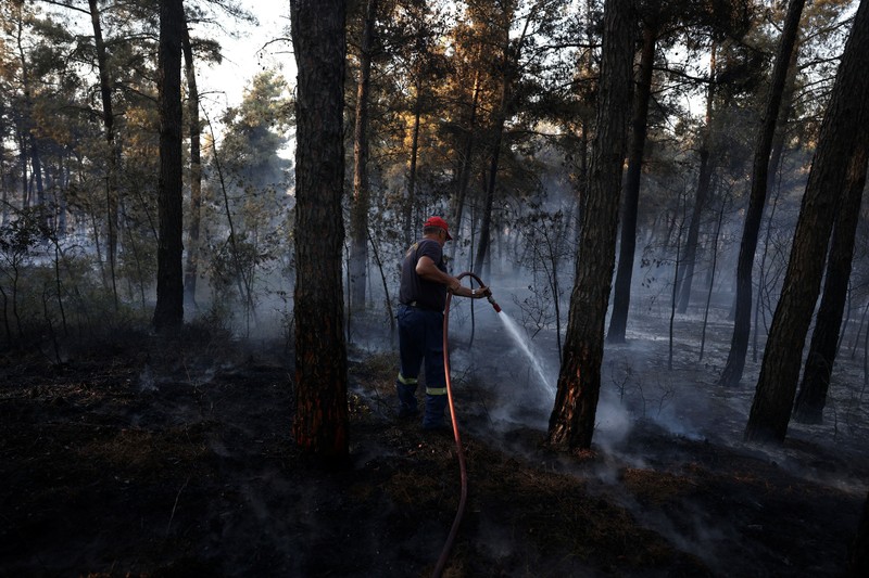 Jenazah korban kebakaran hutan tergeletak tertutup kain di samping mobil yang terbakar setelah kebakaran hutan di dekat desa Liti, Thessaloniki, Yunani, 30 Juni 2026. (REUTERS/Alexandros Avramidis)