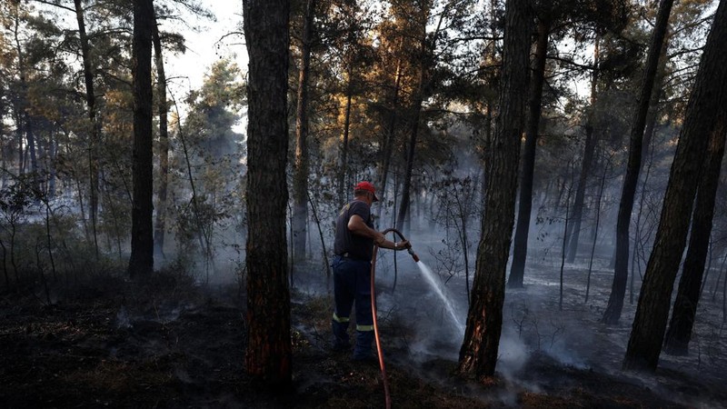 Seorang petugas pemadam kebakaran berusaha memadamkan kebakaran hutan di dekat desa Liti, Thessaloniki, Yunani, 30 Juni 2026.