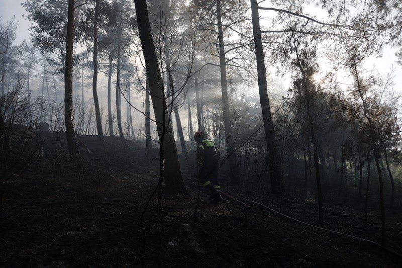 Jenazah korban kebakaran hutan tergeletak tertutup kain di samping mobil yang terbakar setelah kebakaran hutan di dekat desa Liti, Thessaloniki, Yunani, 30 Juni 2026. (REUTERS/Alexandros Avramidis)