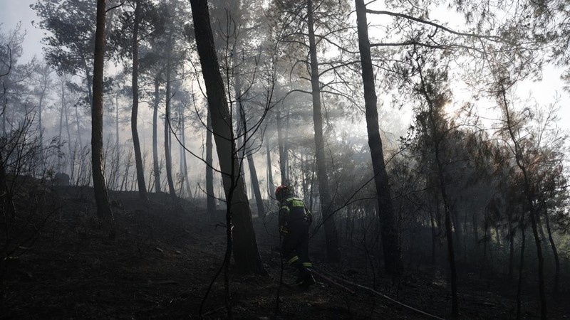 Seorang petugas pemadam kebakaran berusaha memadamkan kebakaran hutan di dekat desa Liti, Thessaloniki, Yunani, 30 Juni 2026.