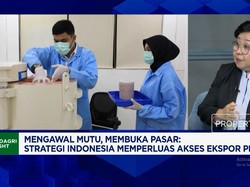 1 Juta Penambak Sambut Sertifikasi Udang RI bebas Cs-137, Ribuan Ton Udang RI Masuk AS
