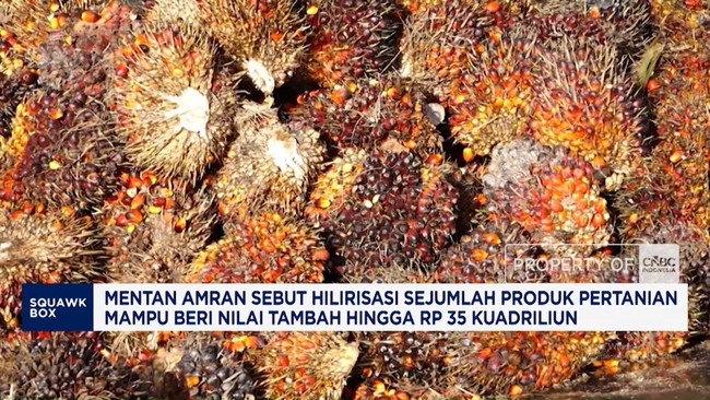 Hilirisasi Produk Pertanian Beri Nilai Tambah hingga Rp35 Kuadriliun