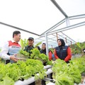 Pertamina