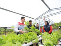 Pertamina