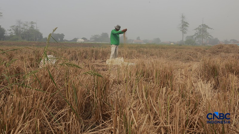 Petugas gabungan terus berjibaku memadamkan kebakaran yang melanda Tempat Pemrosesan Akhir (TPA) Jatiwaringin, Kecamatan Mauk, Kabupaten Tangerang, Banten, Kamis (2/7/2026). (CNBC Indonesia/Muhammad Sabki)