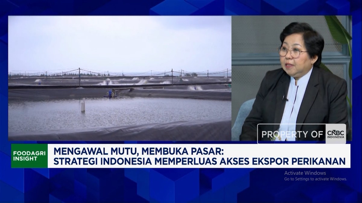 Video: Sertifikasi KKP Diakui Dunia, Udang dan Ikan RI Tembus AS - Eropa