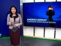 Amerika Serikat, Si Adidaya Yang Mulai Goyah