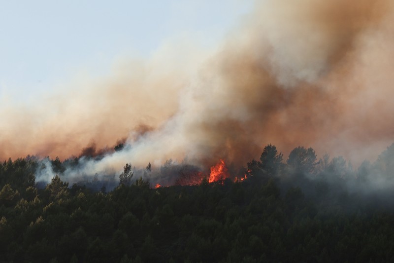 Petugas pemadam kebakaran bekerja saat kebakaran hutan berkobar di Pouzols-Minervois dekat Narbonne, Prancis, 3 Juli 2026. (REUTERS/Alexandre Dimou)