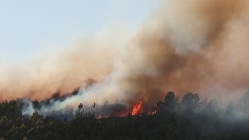 Asap mengepul saat kebakaran hutan melanda Pouzols-Minervois dekat Narbonne, Prancis, 2 Juli 2026.