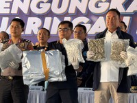 Bea Cukai dan BNN bongkar modus penyelundupan 3.371,4 kilogram atau sekitar 3,37 ton bunga/pucuk canabinoid marijuana asal Thailand yang masuk melalui Pelabuhan Internasional Tanjung Priok. (Dok. Bea Cukai)