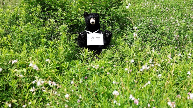 Boneka beruang yang menyerupai beruang asli selama latihan tanggap darurat yang mensimulasikan penyusupan beruang, di Isehara, Prefektur Kanagawa, Jepang, 3 Juli 2026. Tanda tersebut bertuliskan,