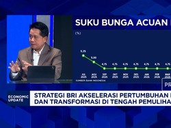 Buka-bukaan CEO Group BRI Dukung Program Pemerintah hingga Transformasi Bisnis