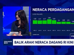 Ekspor Minyak Sawit RI ke China Anjlok, Bikin Neraca Dagang RI Defisit?