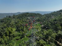 Ilustrasi Petugas PLN yang sedang melakukan pemeliharaan jaringan listrik SUTT 150 kV PratuBayah, Banten guna menjaga keandalan pasokan listrik kepada masyarakat. (Dok. PT PLN (Persero))