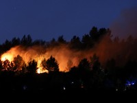 Kebakaran hutan melanda Pouzols-Minervois dekat Narbonne, Prancis, 2 Juli 2026. (REUTERS/Alexandre Dimou)