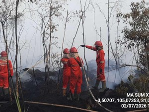 Karhutla di Lahan Gambut OKI 6 Hektare Belum Padam, Asap Pekat