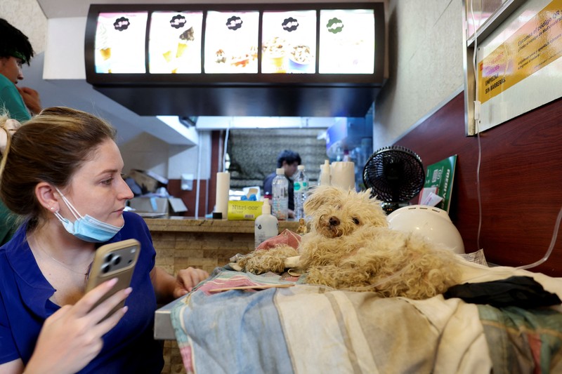 Orang-orang menerima perawatan di klinik hewan darurat dan tempat triase untuk manusia di dalam restoran McDonald's, setelah gempa bumi, di La Guaira, Venezuela, 2 Juli 2026. (REUTERS/Ricardo Arduengo)
