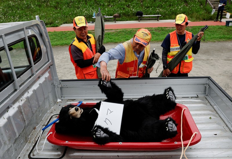 Seorang peserta dan seorang pemburu mendekat untuk memeriksa tanda-tanda kehidupan pada boneka beruang yang mewakili beruang asli selama latihan tanggap darurat yang mensimulasikan serangan beruang, di Isehara, Prefektur Kanagawa, Jepang, 3 Juli 2026. (REUTERS/Kim Kyung-Hoon)