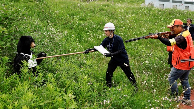 Usai Beruang Lumpuhkan Kota, Jepang Gelar Simulasi Darurat