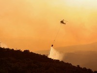 People look on as flames and smoke from a wildfire rise near Calonge, Spain, July 4, 2026. REUTERS/Bruna Casas     TPX IMAGES OF THE DAY