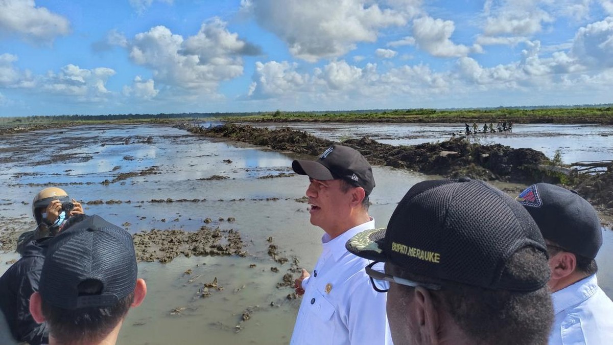 Sulap Merauke Jadi Lumbung Padi, Ribuan Hektare Lahan Dijadikan Sawah