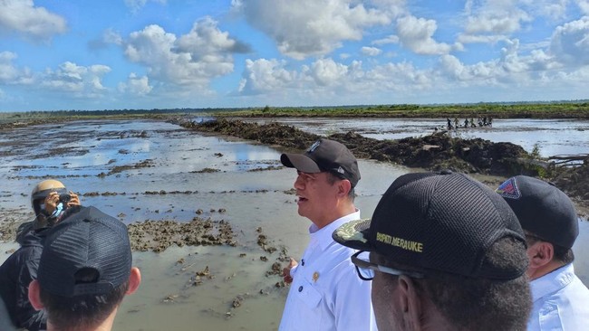 Sulap Merauke Jadi Lumbung Padi, Ribuan Hektare Lahan Dijadikan Sawah