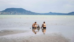 Fenomena Langka! Pulau Monyet Muncul Kembali di Danau Balaton Saat Air Surut
