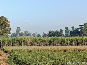 Gunung Semeru Kembali Luncurkan Lava Pijar Sejauh 1,5 Kilometer