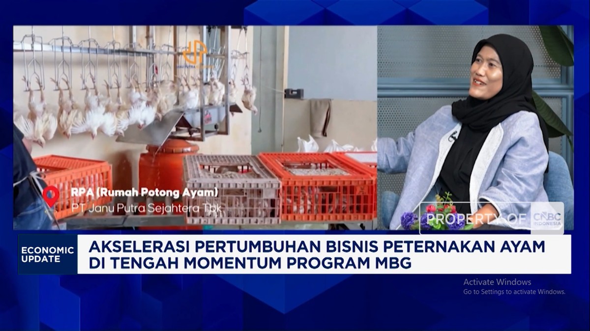 Video: Bongkar Sebab Harga Ayam Peternak Anjlok di Tengah Progam MBG