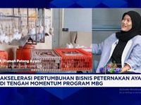 Bongkar Penyebab Harga Ayam di Peternak Anjlok Saat Ada MBG